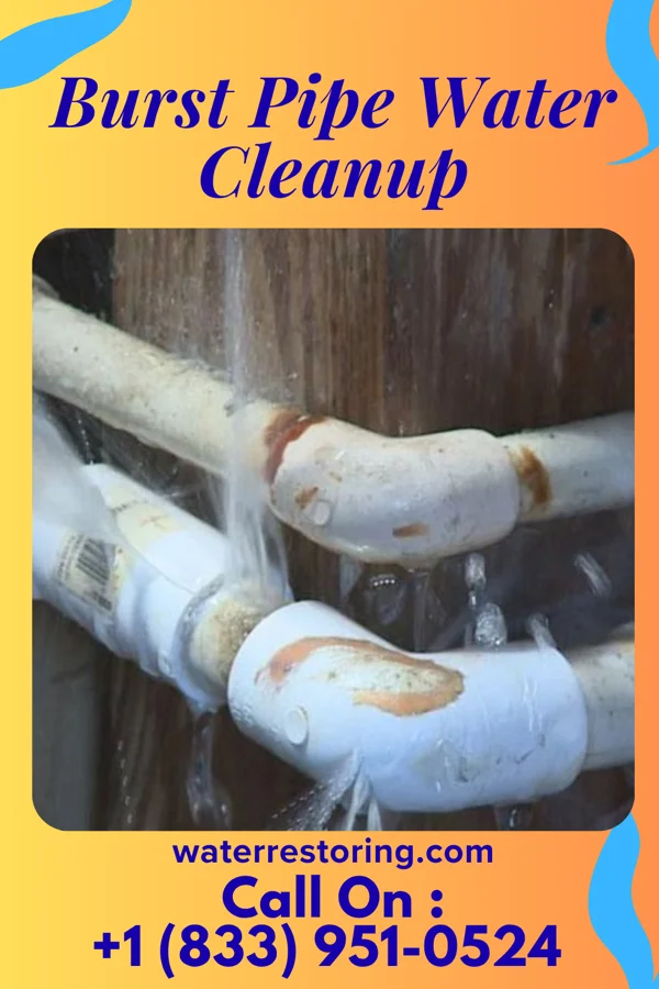 Burst Pipe Water Cleanup in Centerville, OH