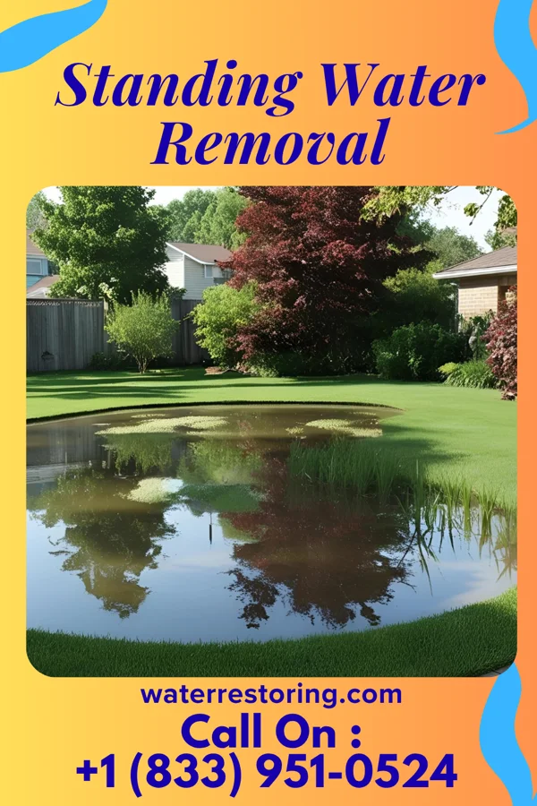 Standing Water Removal in Centerville, OH